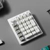 imageKeychron Q0 Max Wireless Custom Mechanical Numpad 24 GHzBluetooth 51Wired QMK Number Pad RGB HotSwappable with Gateron Banana Switch for Laptop Mac Windows Linux  WhiteGateron Jupiter Banana SwitchWhite