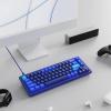 imageKeychron Q2 Wired Custom Mechanical Keyboard QMKVIA Programmable Macro Full Aluminum HotSwappable Gateron G Pro Red Switch 65 Layout Double Gasket Compatible with Mac and Windows  BlueGateron G Pro Brown SwitchBlue