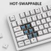 imageKeychron Q3 RGB Tenkeyless Layout 87Key QMKVIA Programmable Macro Hotswappable Wired Custom Mechanical Keyboard with Gateron G Pro Red Switch Double Gasket Compatible with Mac Windows LinuxBlueWhiteBlue Switch