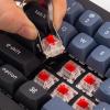 imageKeychron Q4 Wired Custom Mechanical Keyboard 60 Layout QMKVIA Programmable Macro with Hotswappable Gateron G Pro Blue Switch Double Gasket Compatible with Mac Windows Linux BlackHotswap Gateron G Pro Red Switch