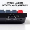 imageKeychron Q4 Wired Custom Mechanical Keyboard 60 Layout QMKVIA Programmable Macro with Hotswappable Gateron G Pro Blue Switch Double Gasket Compatible with Mac Windows Linux BlackHotswap Gateron G Pro Red Switch