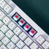 imageKeychron Q5 Max Wireless Custom Mechanical Keyboard Full Aluminum 24 GHz Bluetooth QMK 96 Layout RGB with Hotswappable Gateron Brown Switch Compatible with Mac Windows LinuxHotswap Gateron Jupiter Red Switch