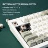 imageKeychron Q5 Max Wireless Custom Mechanical Keyboard Full Aluminum 24 GHz Bluetooth QMK 96 Layout RGB with Hotswappable Gateron Brown Switch Compatible with Mac Windows LinuxHotswap Gateron Jupiter Brown Switch