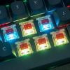 imageKeychron Q7 Wired Custom Mechanical Keyboard 70 Layout QMKVIA Programmable Macro with Hotswappable Gateron G Pro Blue Switch Double Gasket Compatible with Mac Windows Linux Black  NewHotswap Gateron G Pro Red Switch