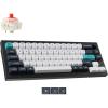 Gateron Jupiter Red Switch-Black