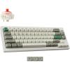 Gateron Jupiter Red Switch-White