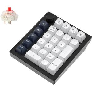 imageKeychron Q0 Max Wireless Custom Mechanical Numpad 24 GHzBluetooth 51Wired QMK Number Pad RGB HotSwappable with Gateron Banana Switch for Laptop Mac Windows Linux  WhiteGateron Jupiter Red SwitchBlack