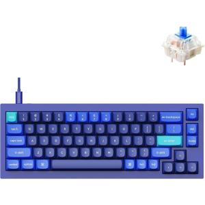 imageKeychron Q2 Wired Custom Mechanical Keyboard QMKVIA Programmable Macro Full Aluminum HotSwappable Gateron G Pro Red Switch 65 Layout Double Gasket Compatible with Mac and Windows  BlueGateron G Pro Blue SwitchBlue