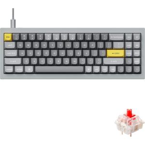 imageKeychron Q7 Wired Custom Mechanical Keyboard 70 Layout QMKVIA Programmable Macro with Hotswappable Gateron G Pro Brown Switch Double Gasket Compatible with Mac Windows Linux BlackGateron G Pro Red Switch  Grey