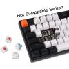 imageKeychron C2 Full Size Wired Mechanical Keyboard for Mac Hotswappable Gateron G Pro Brown Switch RGB Backlight 104 Keys ABS keycaps Gaming Keyboard for Windows USBC TypeC Braid CableHotswap Gateron G Pro Brown Switch