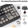 imageKeychron C2 Pro Wired Custom Mechanical Keyboard Full Size Layout QMKVIA Programmable Macro RGB Backlit with HotSwappable Keychron K Pro Brown Switch OEM Profile PBT Keycaps for Mac Windows LinuxHotswap Keychron K Pro Brown Switch