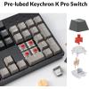 imageKeychron C2 Pro Wired QMKVIA Mechanical Keyboard Full Size Layout Custom Programmable Macro RGB Backlit with Keychron K Pro Brown Switch OEM Profile DoubleShot PBT Keycaps for Mac Windows LinuxKeychron K Pro Red Switch