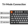 imageKeychron K8 Max TKL Wireless Mechanical Keyboard QMK 24 GHzBluetooth 51Wired with Aluminum Frame RGB Backlit HotSwappable Programmable Keychron Super Brown Switch for Mac Windows LinuxHotSwap Keychron Super Red Switch