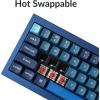 imageKeychron Q4 Wired Custom Mechanical Keyboard 60 Layout QMKVIA Programmable Macro with Hotswappable Gateron G Pro Red Switch Double Gasket Compatible with Mac Windows Linux Navy BlueGateron G Pro Red Switch