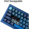 imageKeychron Q4 Wired Custom Mechanical Keyboard 60 Layout QMKVIA Programmable Macro with Hotswappable Gateron G Pro Red Switch Double Gasket Compatible with Mac Windows Linux Navy BlueGateron G Pro Blue Switch