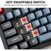 imageKeychron V6 Wired Custom Mechanical Keyboard FullSize QMKVIA Programmable Macro with Hotswappable Keychron K Pro Red Switch Compatible with Mac Windows Linux Frosted BlackTranslucentHotswap Keychron K Pro Red Switch