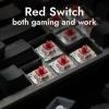 imageLEMOKEY X5 Wired Gaming LED Backlight QMKLauncher Mechanical Keyboard for WindowsLinux Customize keymaps DoubleShot keycaps Keychron Mechanical Red Switch Perfect for Both Gaming and WorkKeychron Mechanical Red Switch