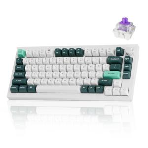 imageKeychron Q1 HE Wireless Custom Mechanical Keyboard with Hall Effect Gateron DoubleRail Magnetic Switch Rapid Trigger QMK 24 GHz Bluetooth 52 RGB Compatible with Mac Windows Linux HotswappableWhite