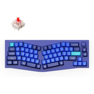 imageKeychron Q8 Wired Custom Mechanical Keyboard Knob Version 65 Alice Layout QMKVIA Programmable with Hotswappable Gateron G Pro Red Switch Double Gasket Compatible with Mac Windows Linux BlueHotswap Gateron G Pro Red