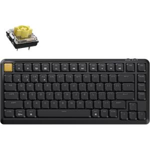 imageKeychron KJ1 Low Profile Wireless Mechanical Keyboard  75 Layout Red Switch QMK RGB Backlit 24GBluetoothUSBC DoubleShot PBT Keycaps 2000mAh Battery MacWinLinux Compatible  WhiteBlack  Banana Switch