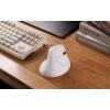 imageKeychron M5 Wireless Ergonomic Mouse 8000Hz TriMode 24 GHzBluetooth 51Wired PixArt 3950 Sensor 30000 DPI Ergonomic Lightweight Programmable Macro Button for Windows PCMac  WhiteWhite
