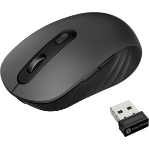 imageKeychron BM25 Silent Wireless Mouse Ergonomic Rechargeable Mice with TriMode 24GBluetooth 52Wired 1000Hz Polling Rate Adjustable DPI Programmable for Mac Windows Linux  Space GrayBlack