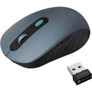 imageKeychron BM25 Silent Wireless Mouse Ergonomic Rechargeable Mice with TriMode 24GBluetooth 52Wired 1000Hz Polling Rate Adjustable DPI Programmable for Mac Windows Linux  Space GrayGray